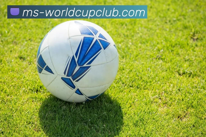 世俱杯体育投注服务体系